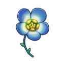 Small Flower