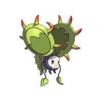 Splash image of Castnut