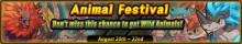 animal festival